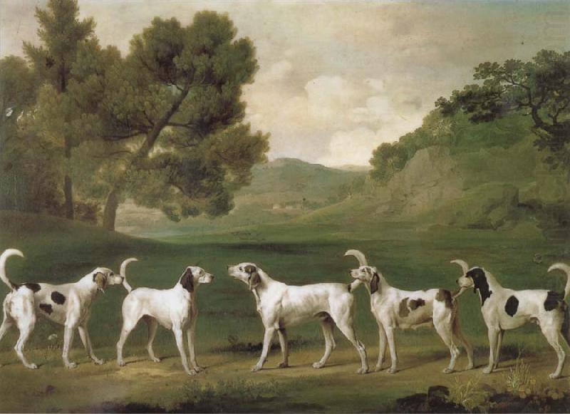 George Stubbs Some Dogs china oil painting image